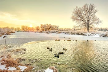 27446 County Road 388, Kersey, CO 80644