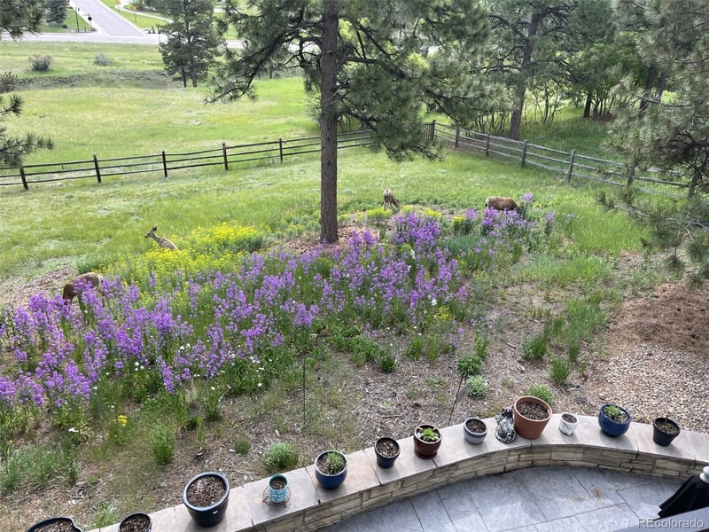 5213 Pinyon Jay Rd, Parker, CO 80134