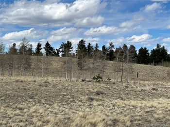 187 Angus Cir, Hartsel, CO 80449