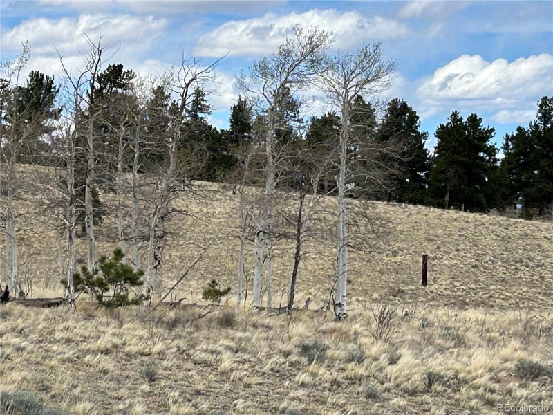 187 Angus Cir, Hartsel, CO 80449