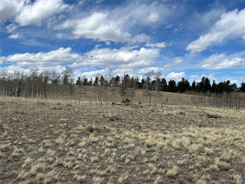 187 Angus Cir, Hartsel, CO 80449