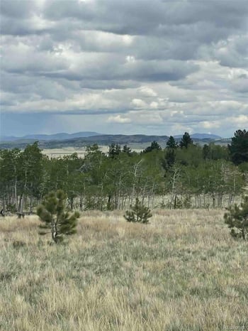 187 Angus Cir, Hartsel, CO 80449