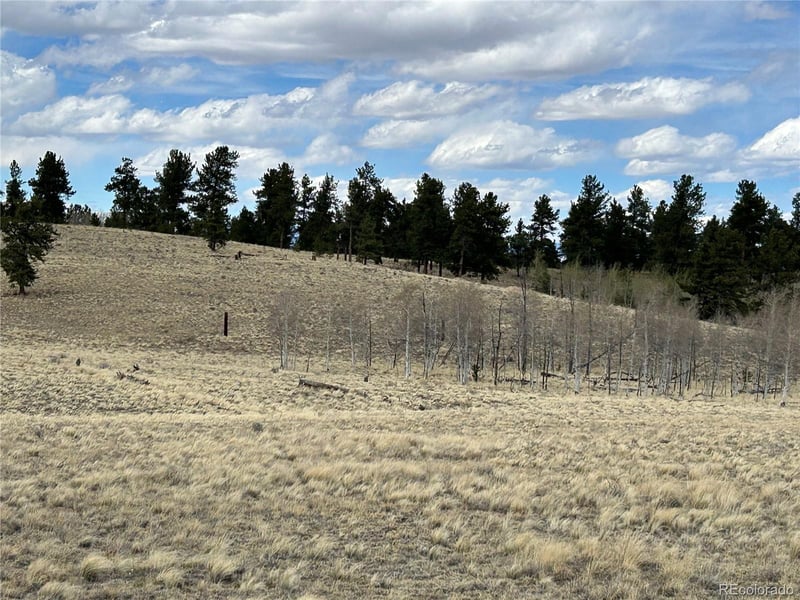 187 Angus Cir, Hartsel, CO 80449