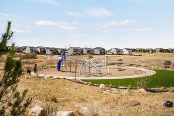 3153 Carabiner St, Castle Rock, CO 80108