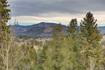 261 Mount Bailey Dr, Bailey, CO 80421