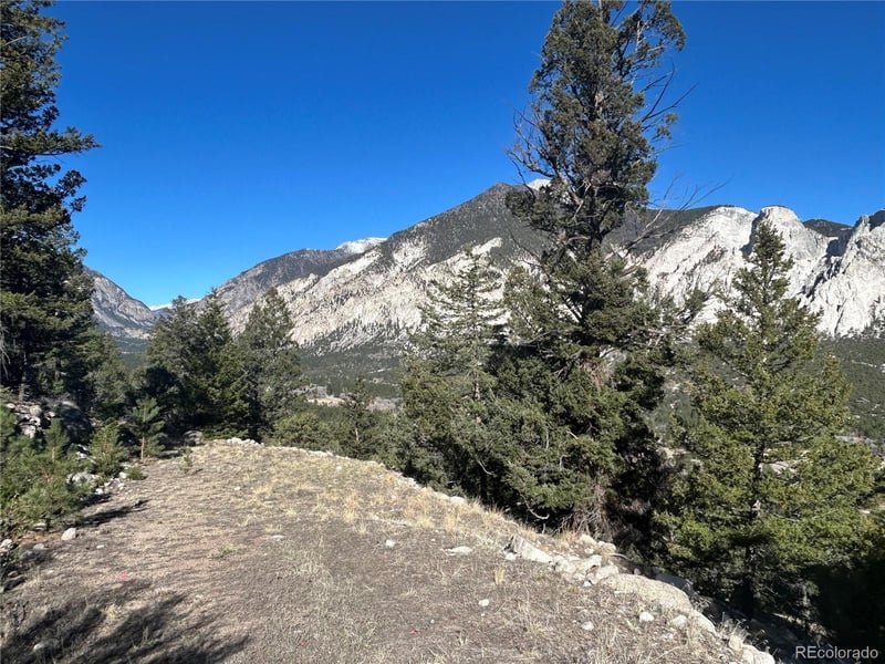 Falcon Dr, Nathrop, CO 81236