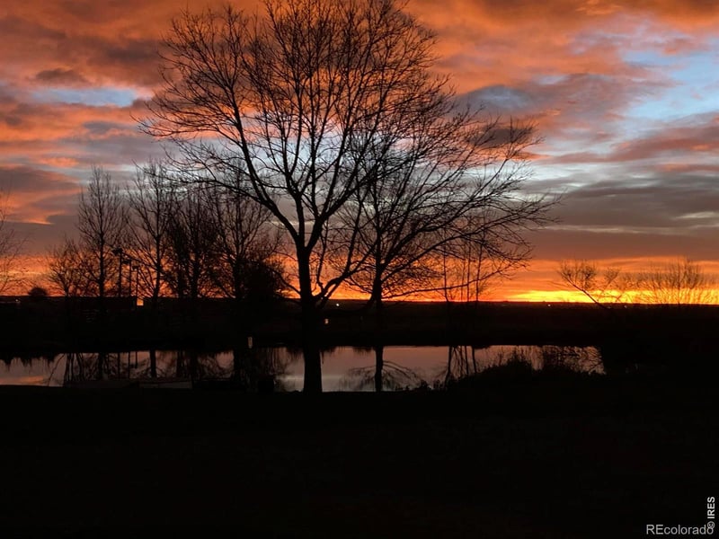 612 County Road 74, Wellington, CO 80549