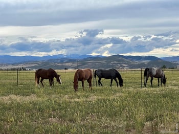 612 County Road 74, Wellington, CO 80549