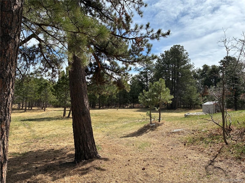 15632 Ray Dr, Larkspur, CO 80118