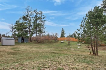 15632 Ray Dr, Larkspur, CO 80118