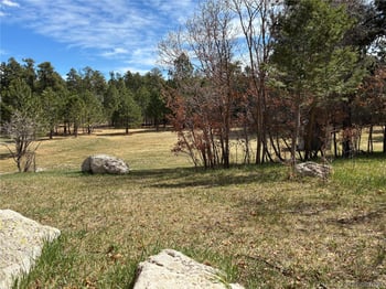 15632 Ray Dr, Larkspur, CO 80118