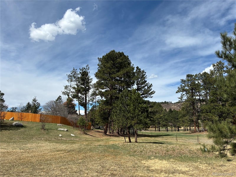 15632 Ray Dr, Larkspur, CO 80118