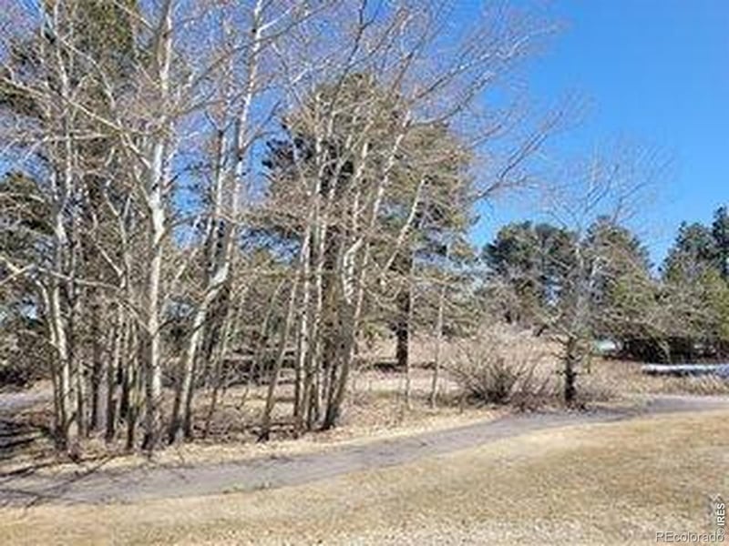 1001 Fox Acres Dr, Red Feather Lakes, CO 80545