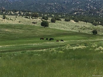 11355 County Road 270, Nathrop, CO 81236