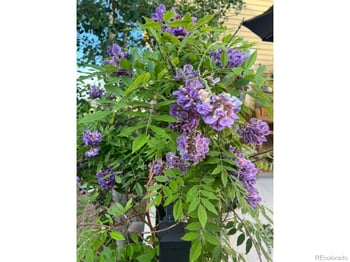 1816 Great Western Dr, Longmont, CO 80501