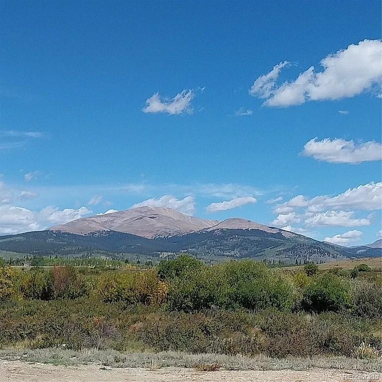 Meadow Dr, Fairplay, CO 80440