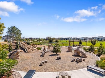 5864 Rendezvous Pw, Timnath, CO 80547