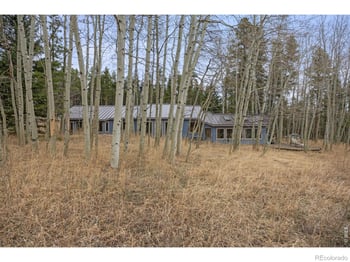 438 County Rd, Rollinsville, CO 80474