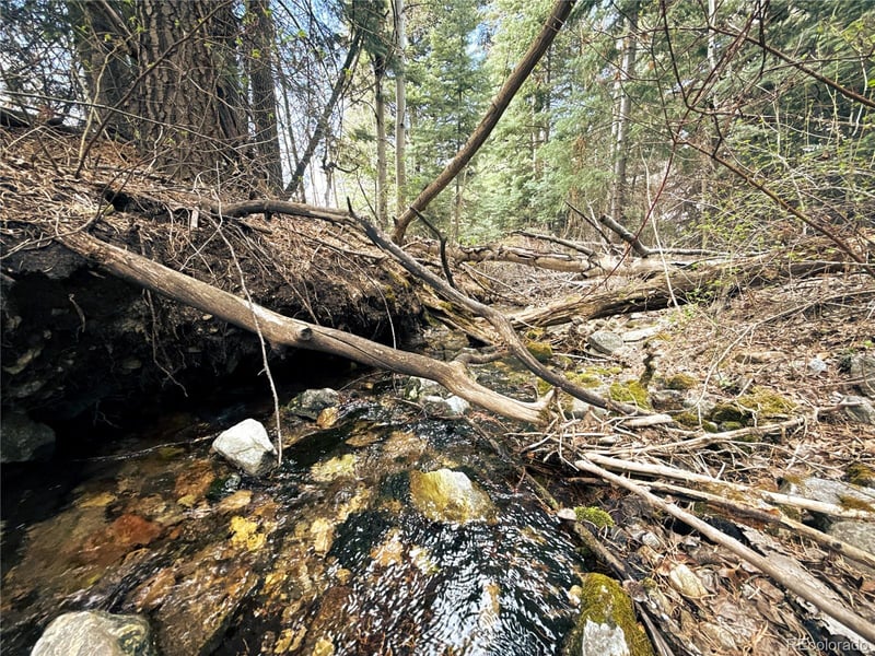 189 Cedar Ridge Rd, Mosca, CO 81146