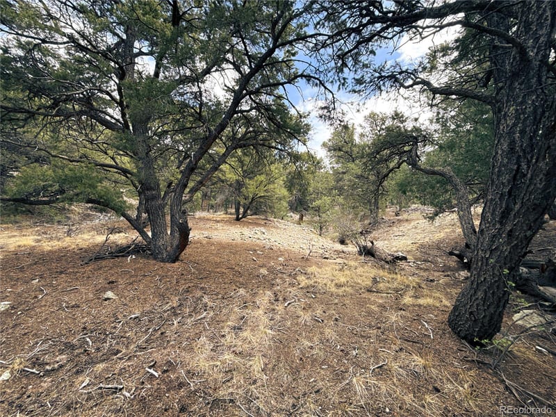 189 Cedar Ridge Rd, Mosca, CO 81146