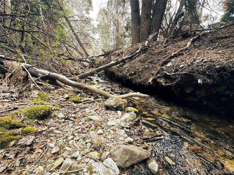 189 Cedar Ridge Rd, Mosca, CO 81146