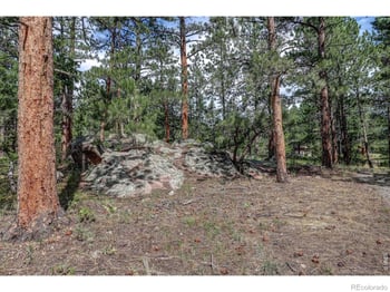 166 Cherokee Rd, Lyons, CO 80540