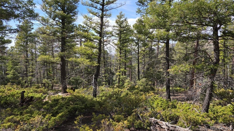 Lot 6070 Vreeland Rd, San Luis, CO 81152