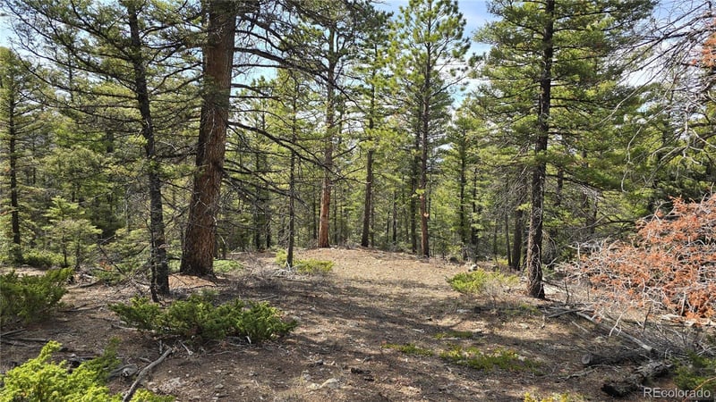 Lot 6070 Vreeland Rd, San Luis, CO 81152
