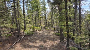 Lot 6070 Vreeland Rd, San Luis, CO 81152