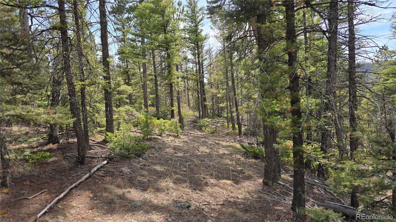 Lot 6070 Vreeland Rd, San Luis, CO 81152