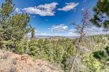 229 Ladigo Ln, Hartsel, CO 80449