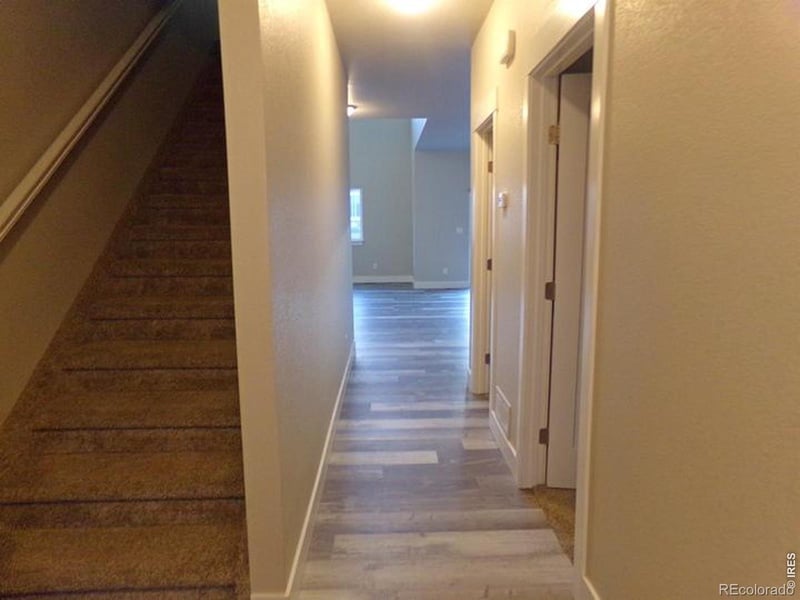 1754 Avery Plaza St, Severance, CO 80550