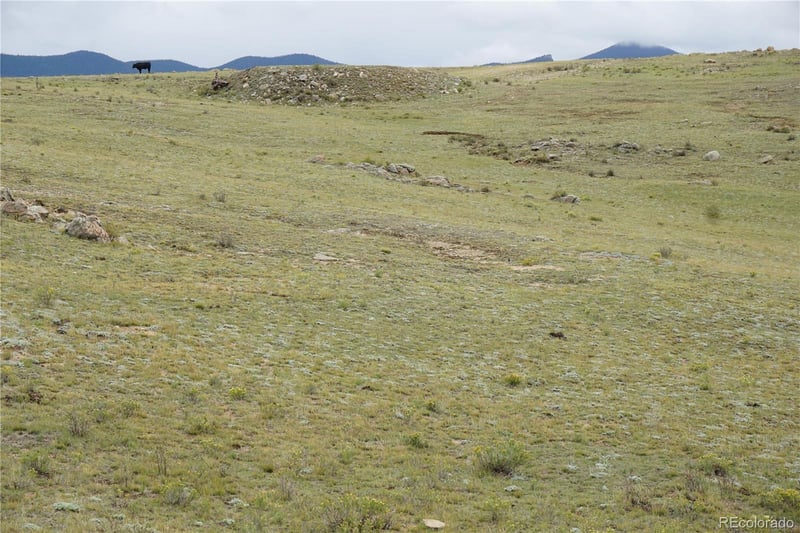 High Dr, Hartsel, CO 80449