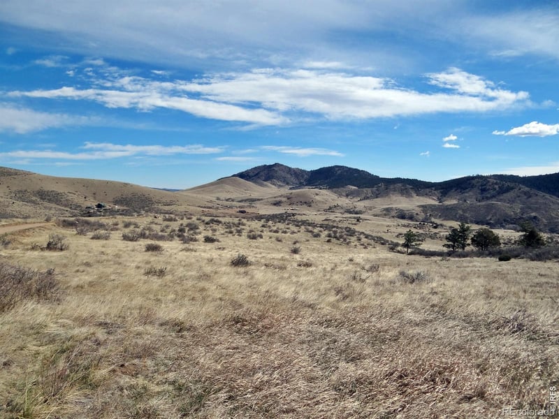 Gordon Creek Ln, Livermore, CO 80536