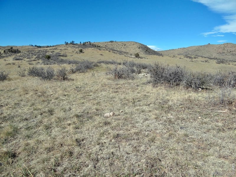 0 Gordon Creek Ln, Livermore, CO 80536