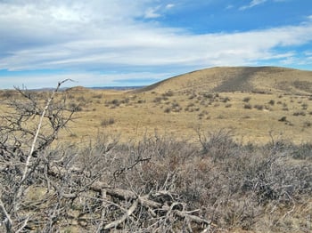 Gordon Creek Ln, Livermore, CO 80536