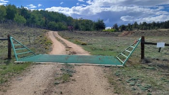 1194 Yellowstone Rd, Hartsel, CO 80449