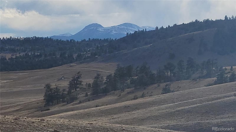 1194 Yellowstone Rd, Hartsel, CO 80449