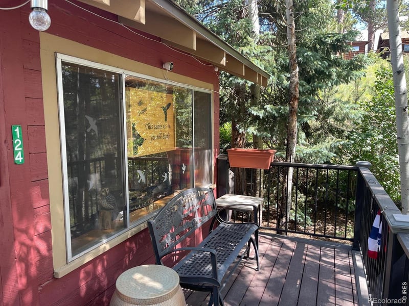 124 Ski Rd, Allenspark, CO 80510