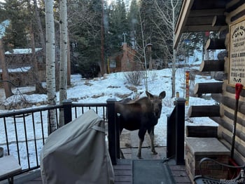 124 Ski Rd, Allenspark, CO 80510