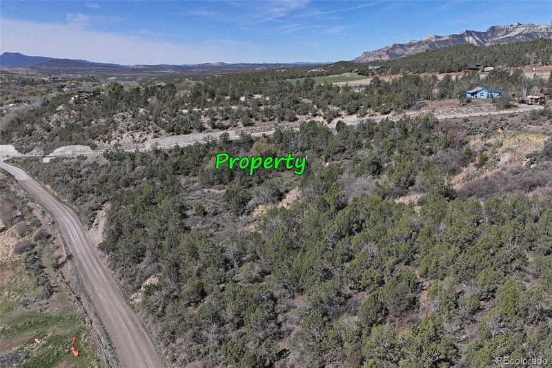 58450 Buzzard Creek Rd, Collbran, CO 81624