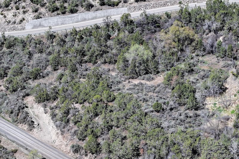 58450 Buzzard Creek Rd, Collbran, CO 81624