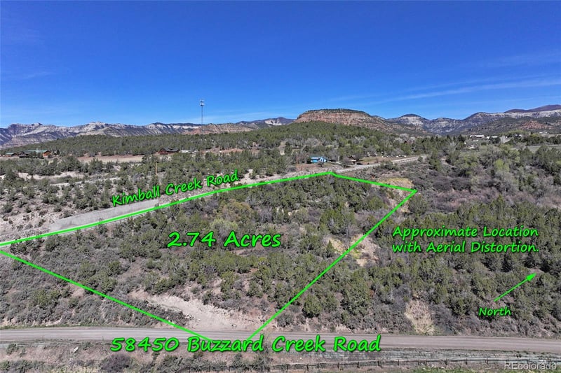 58450 Buzzard Creek Rd, Collbran, CO 81624