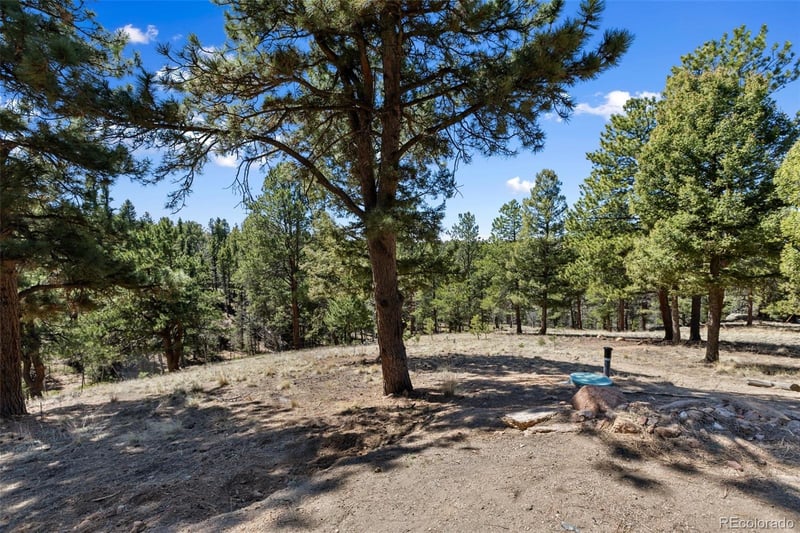 18 Mt Powderhorn, Florissant, CO 80816