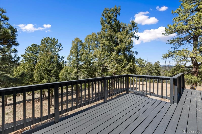 18 Mt Powderhorn, Florissant, CO 80816