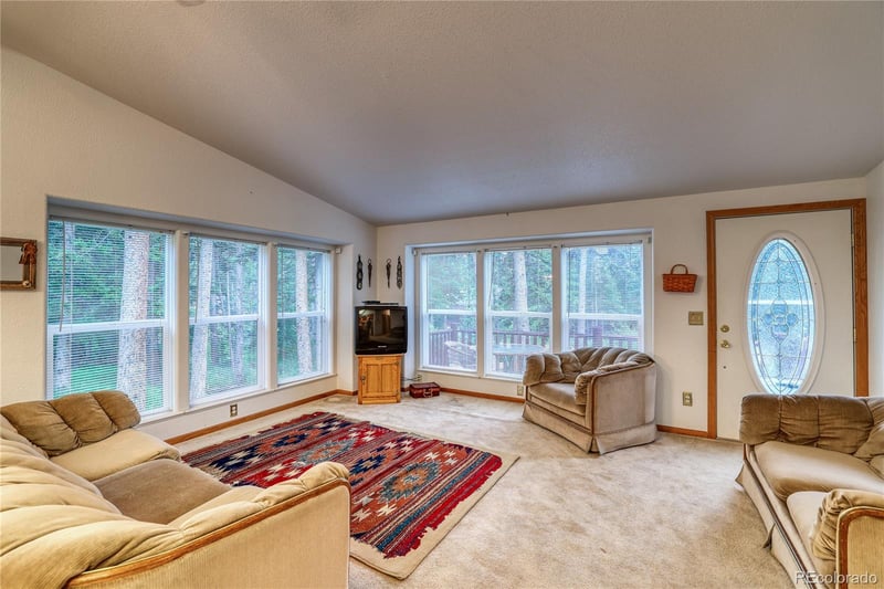 10 Stuart Vista Ct, Idaho Springs, CO 80452