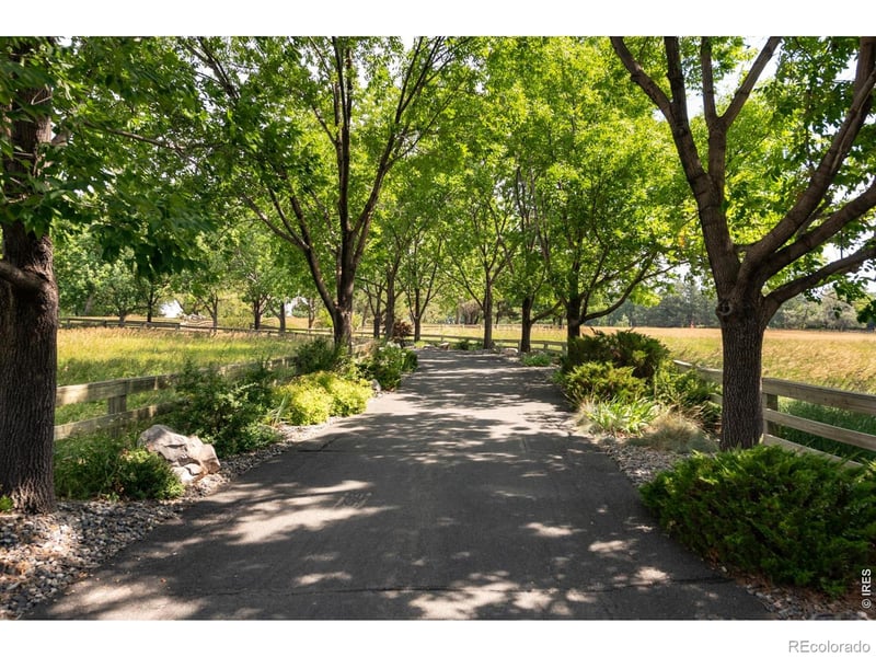 7007 Rozena Dr, Longmont, CO 80503