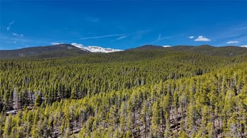 649 County Road 21 #62, Leadville, CO 80461
