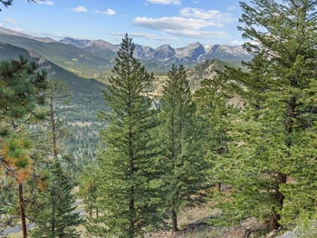 2741 Cedarcliff Dr, Estes Park, CO 80517