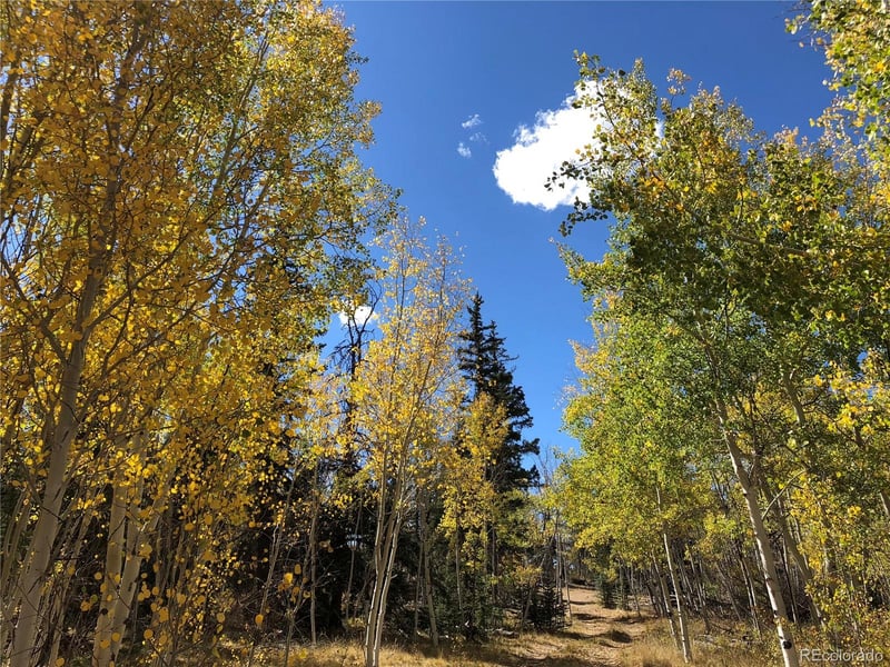 683 Latigo Loop, Hartsel, CO 80820